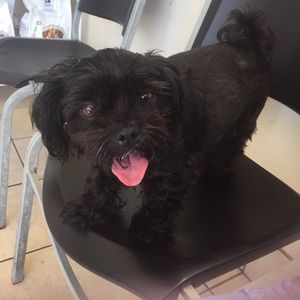 Meet your Posher, Randy